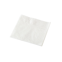 Cocktail Napkin 2 Ply - White