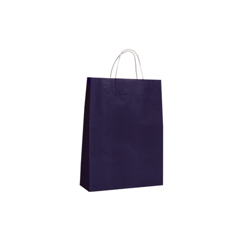 Purple Kraft Paper Bags - Medium