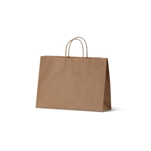 Boutique Paper Bags - Medium(BSB)(250x360+110 mm, 250 pcs)
