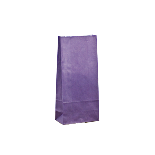 Purple Kraft Gift Bags - Medium (500/ctn)