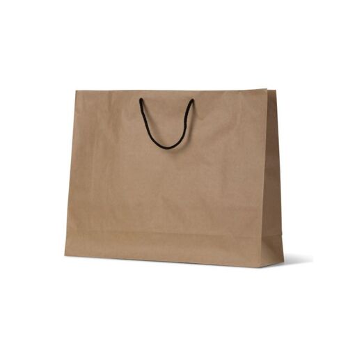 Deluxe Brown Kraft Paper Bags - Boutique (250/ctn)