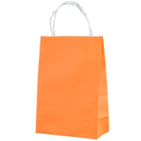 Orange Kraft Paper Bags - Junior(290*200+100mm, 250pcs)
