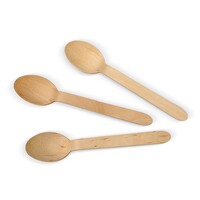 Wooden Spoon (100 pcs)