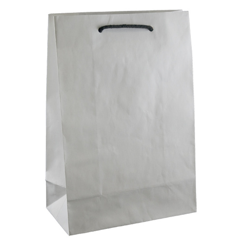 Deluxe White Kraft Paper Bags - Junior