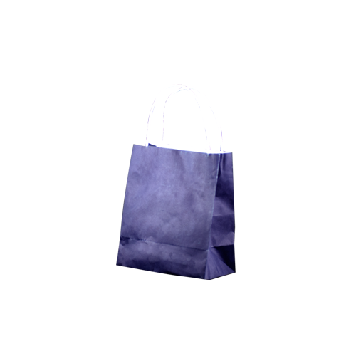 Purple Kraft Paper Bags - Toddler(PPT)(200x170+100 mm, 250 pcs)