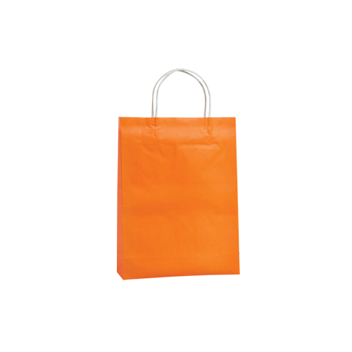 Orange Kraft Paper Bags - Medium