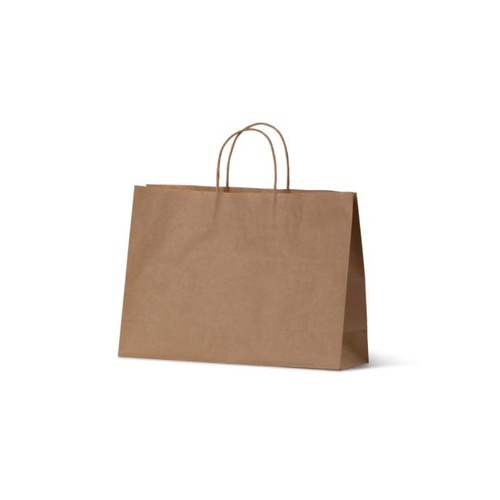 Boutique Paper Bags - Medium(BSB)(250x360+110 mm, 250 pcs)