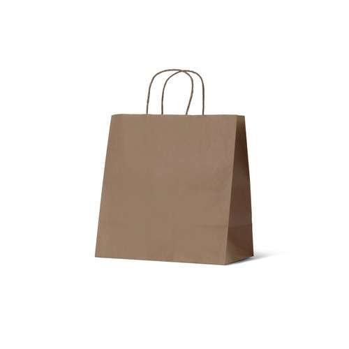 Brown Kraft Takeaway Paper Bags - Medium, 250 pcs