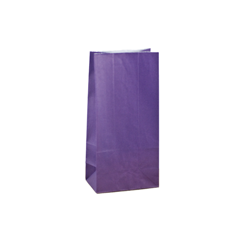 Purple Kraft Gift Bags - Large (500/ctn)