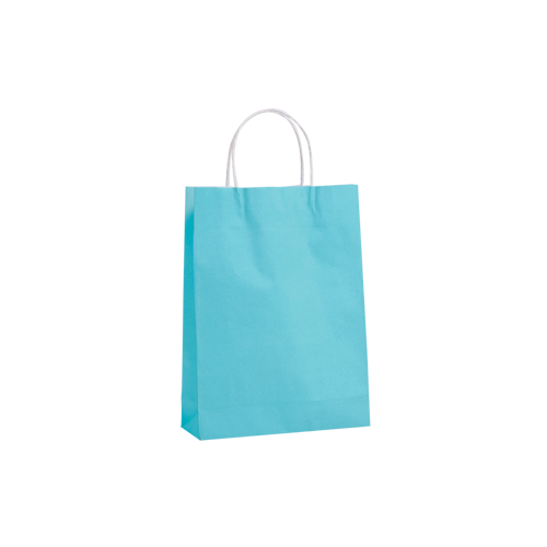 Blue Kraft Paper Bags - Medium, 250 pcs