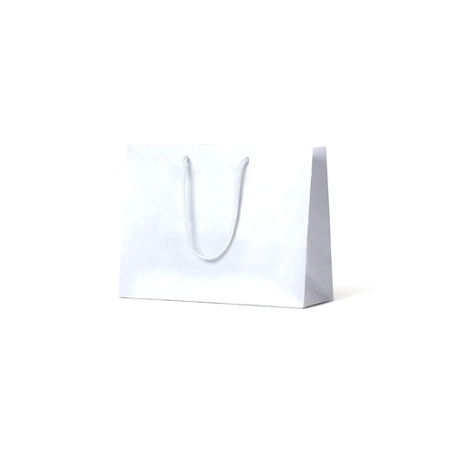 White Glossy Laminated Paper Bags - Medium Boutique (250x330+125, 100/ctn)