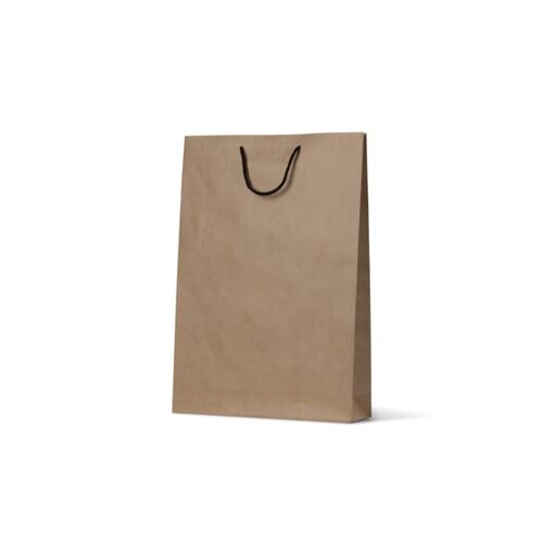 Deluxe Brown Kraft Paper Bags - Large (250/ctn)