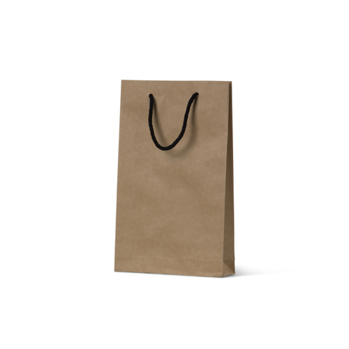 Deluxe Brown Kraft Paper Bags - Small (500/ctn)