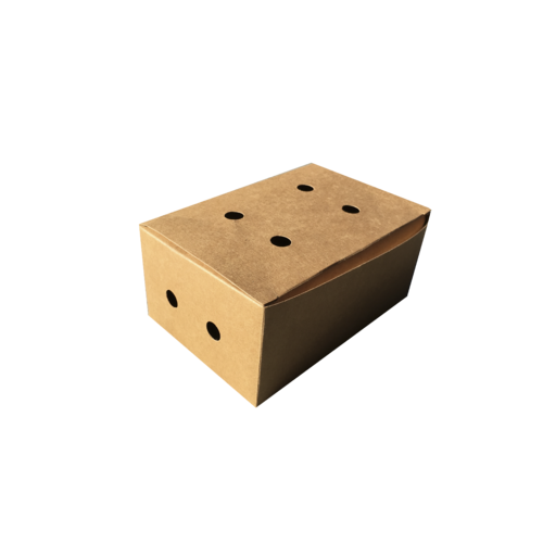 【CLEARANCE]】220pcs Spring Roll Box / Snack Box